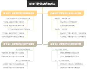 雷亚尔计划成功的原因
