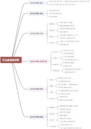 什么是动态分析