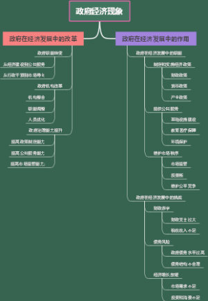 政府经济现象