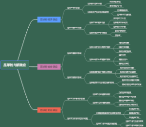 足球的内部效应