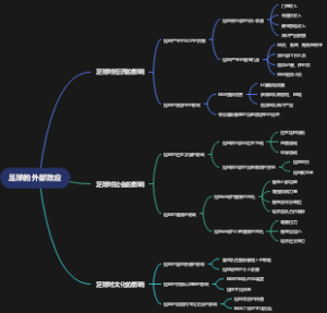 足球的外部效应