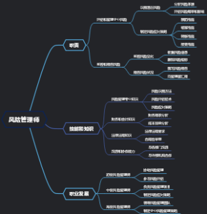 风险管理师