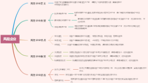 风险企业