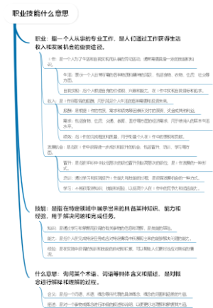 职业技能什么意思