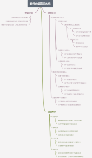 教师分层培养总结