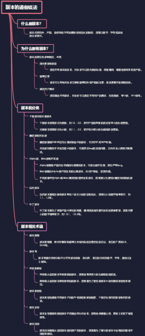 版本的通俗说法