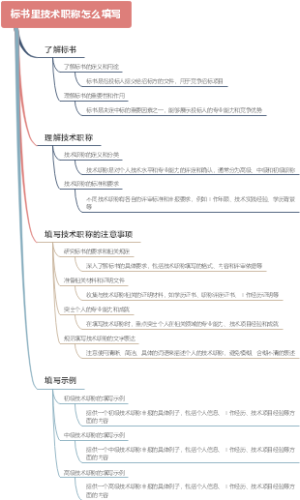 标书里技术职称怎么填写