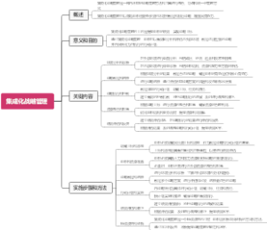 集成化战略管理