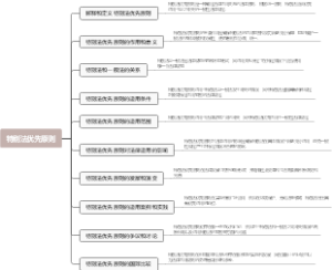 特别法优先原则