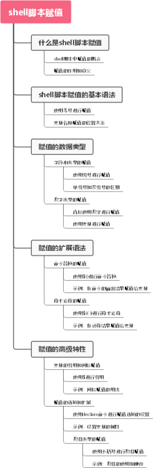shell脚本赋值
