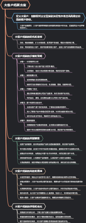 大客户拓展方案