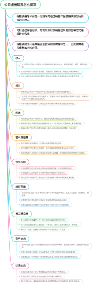 公司运营情况怎么填写