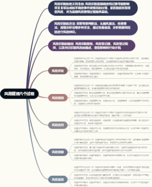 风险管理六个过程