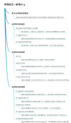 品牌定位一般写什么