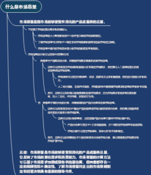 什么是市场容量