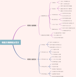 调查方案模板及范文