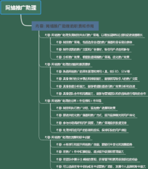 网络推广助理