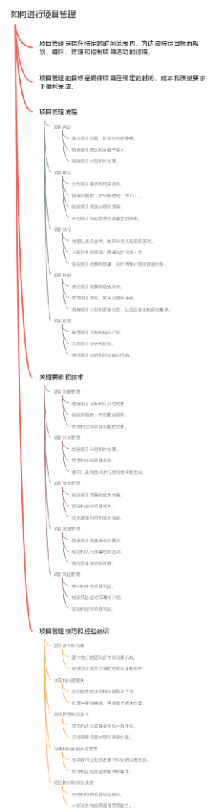如何进行项目管理