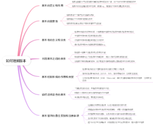 如何理解版本