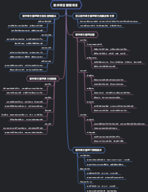 软件项目管理项目