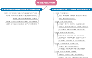 什么是产品生命周期