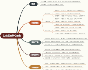 生命质量核心量表