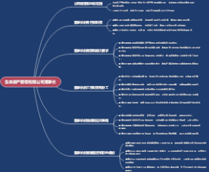生命资产管理有限公司董事长