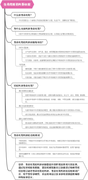 生命周期的判断依据