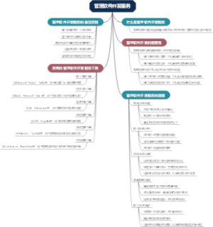 管理软件开发服务