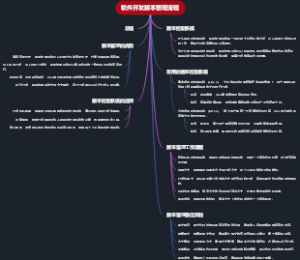 软件开发版本管理流程