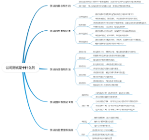 公司测试是干什么的