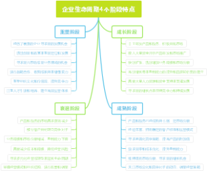 企业生命周期4个阶段特点