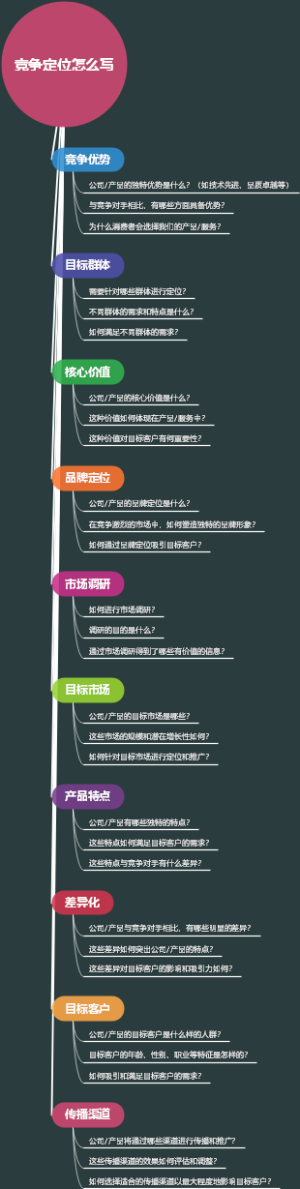 竞争定位怎么写