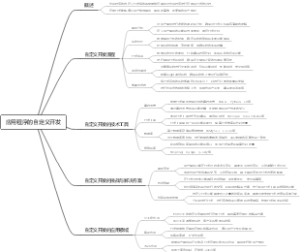 应用程序的自定义开发