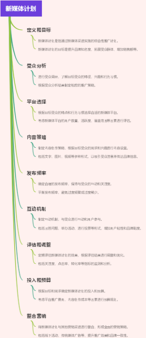 新媒体计划