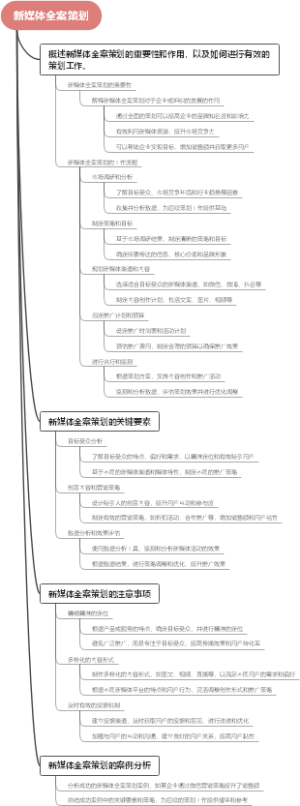 新媒体全案策划