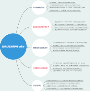 传媒公司发展战略与规划