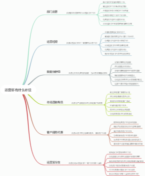 运营部有什么职位