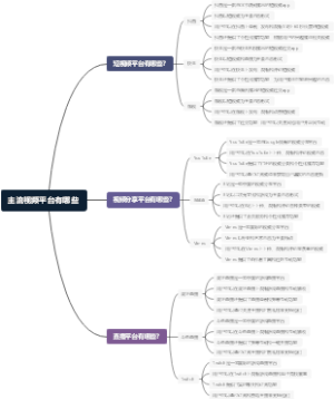 主流视频平台有哪些