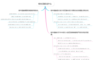 粉丝画像是什么