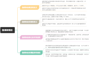 融媒体策划