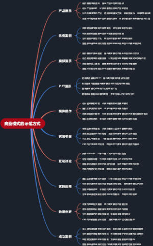 商业模式的示范方式