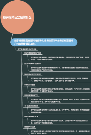 数字媒体运营是做什么