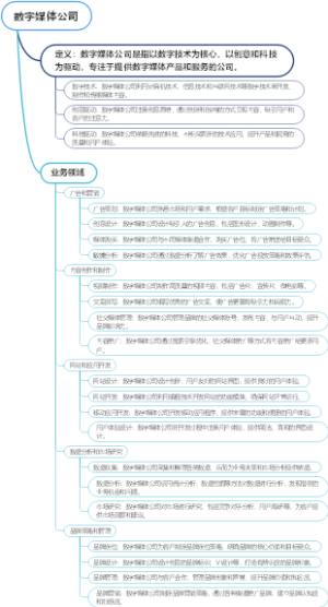 数字媒体公司
