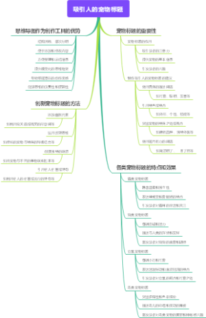 吸引人的宠物标题