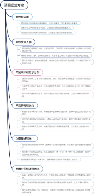 项目运营方案