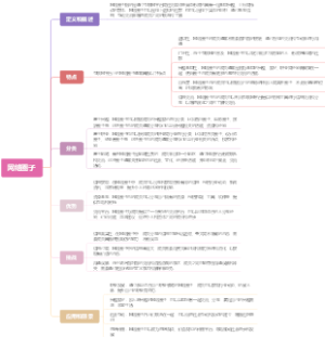 网络圈子