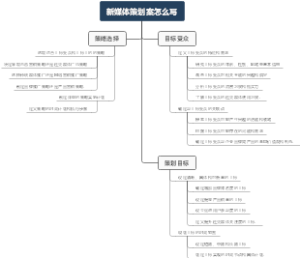 新媒体策划案怎么写