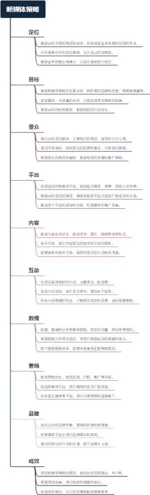 新媒体策略