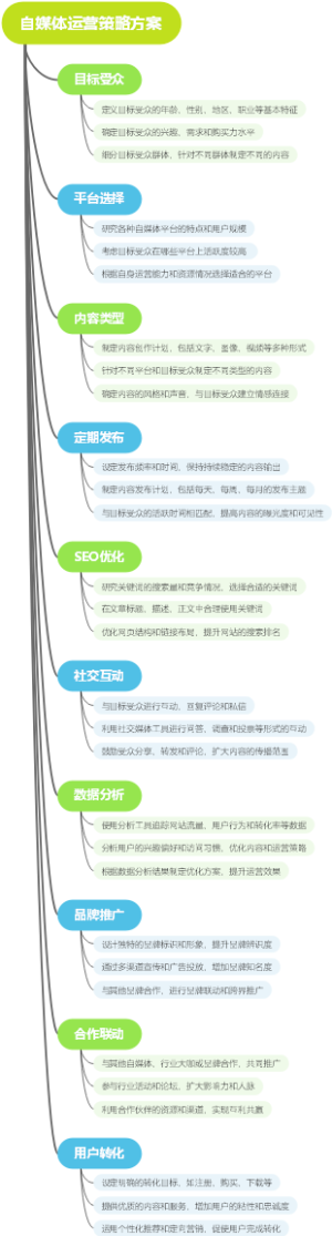 自媒体运营策略方案